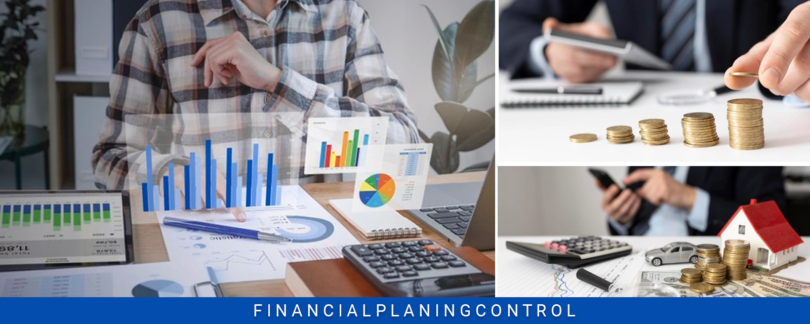 Financial Planing Control
